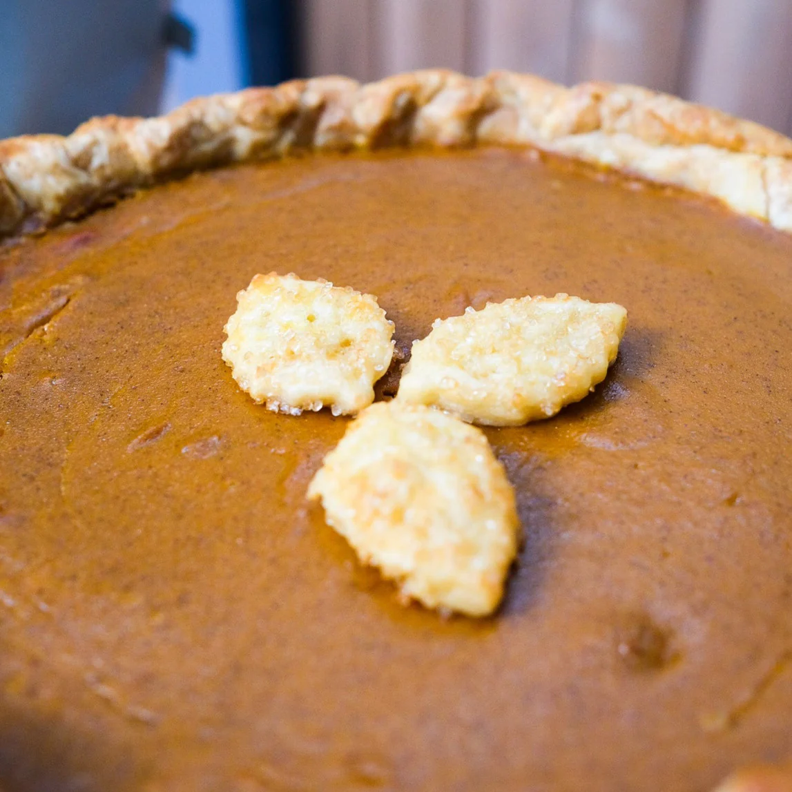 Pumpkin Pie - Image 3