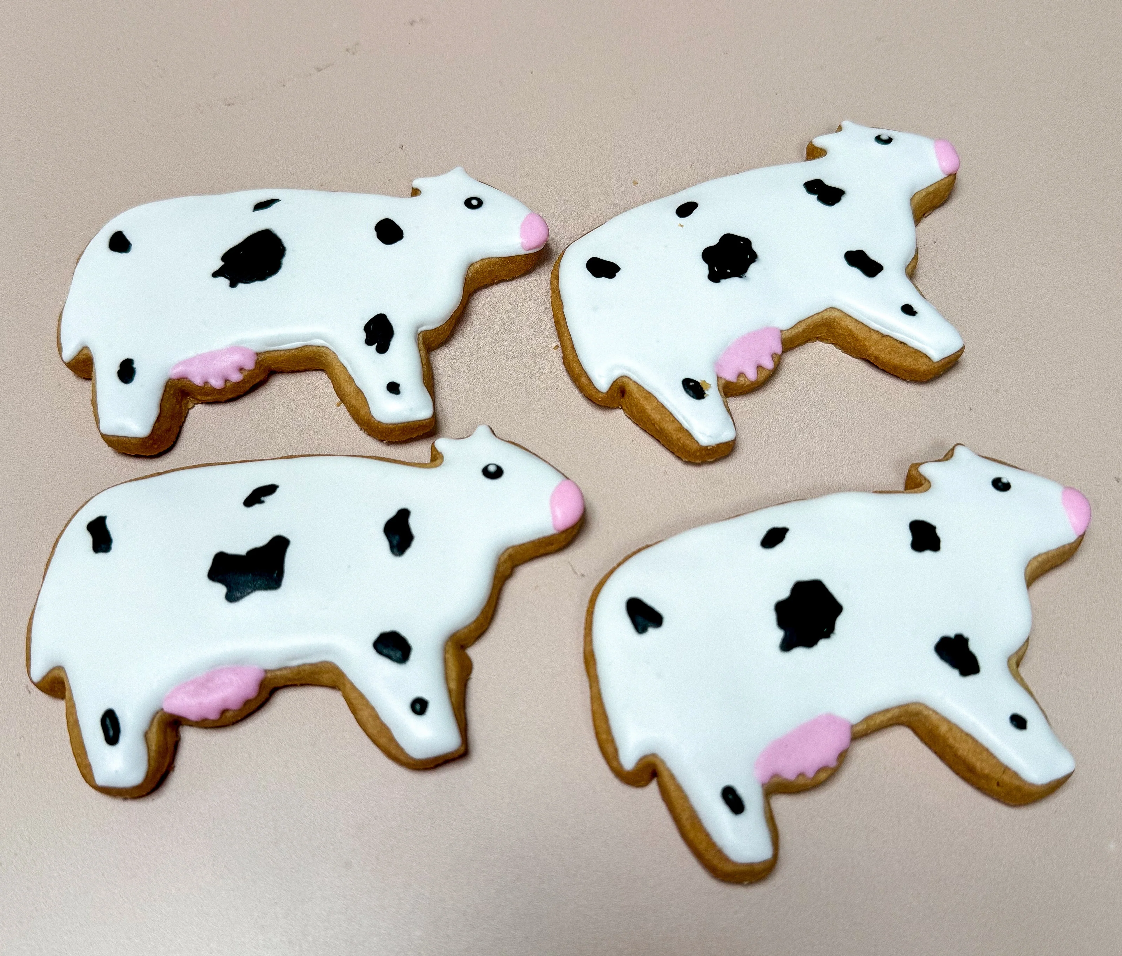 Cow Sugar Cookies