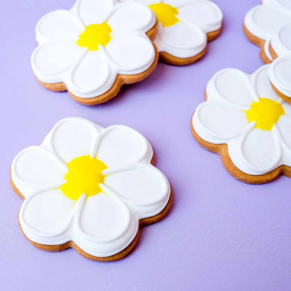 Spring Daisy Flower Sugar Cookies - Image 4