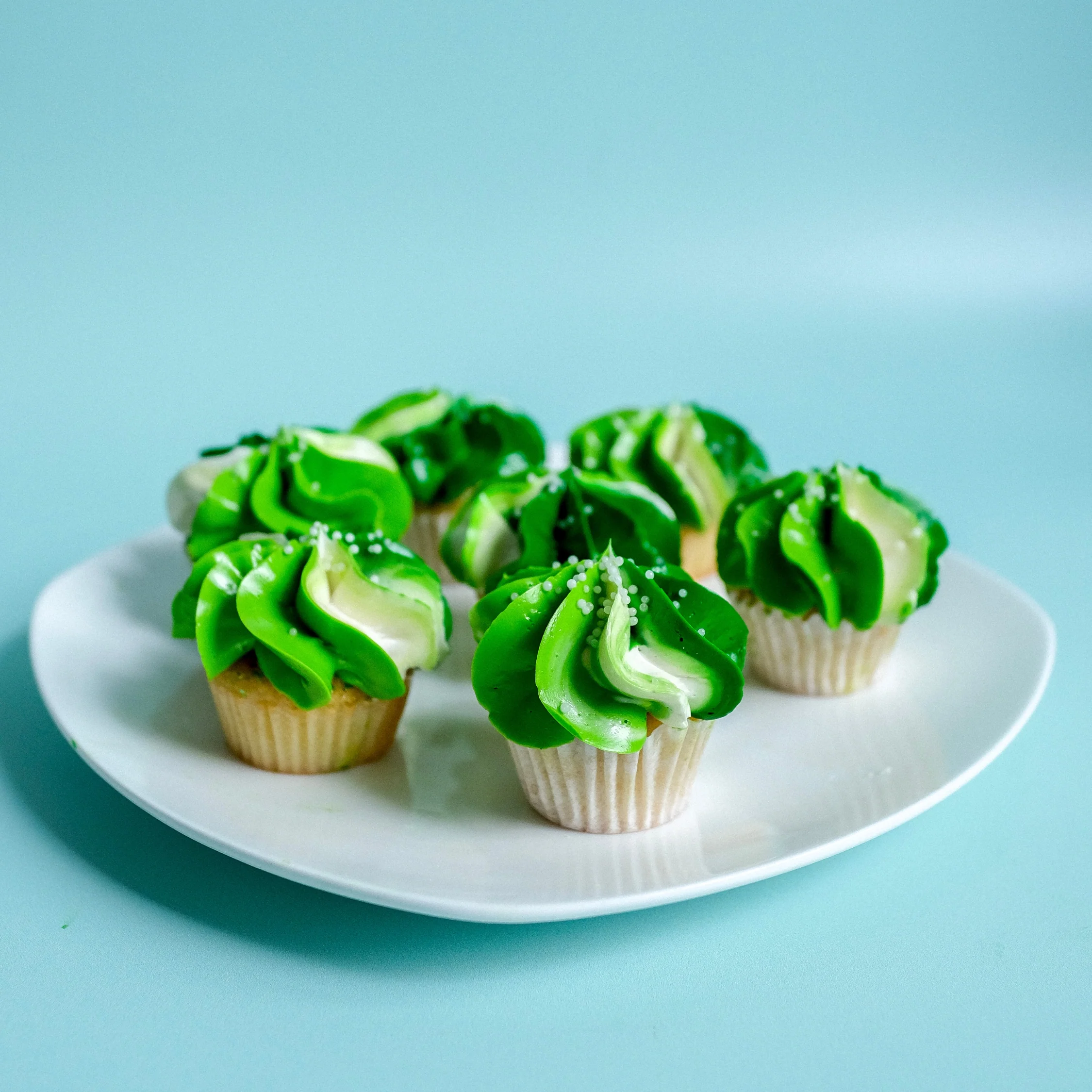 Safari Green Mini Cupcakes, box of 24